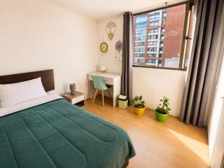 Private room with private bathroom in the Heart of Santiago - 9