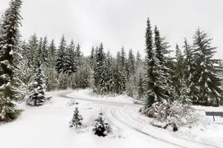 Ski inSki out - Steam shower - Roof top Hot tub - Whistler - 1