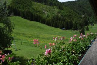 Gasthof Raufner - 9