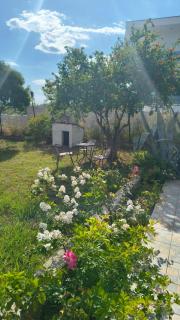 The Peaceful Villa - 8