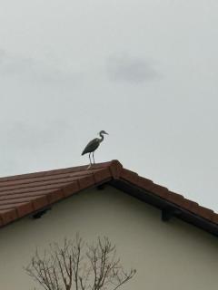 L'estrade des Alpes 45m2 petit-déjeuner inclus - Saint-Alban-de-Roche - 8