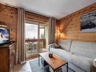 Appartement lumineux proche des pistes avec accès piscine et animaux admis - 1