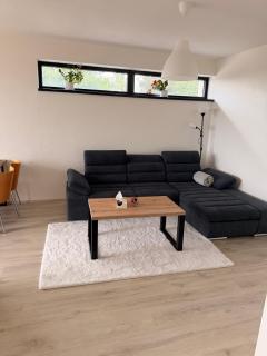 Elegant Apartments - 1