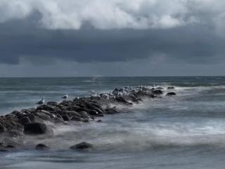 5 star holiday home in Blåvand - 4