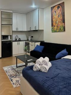 Home comfort Квартира рядом Аэропорт и Aport Mall - 8