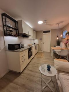 Modern apartment in Olching near Munich - 8