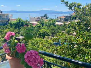 Kapougiati Studios - Ilia Edipsos Sunny and Cozy Getaways - 0
