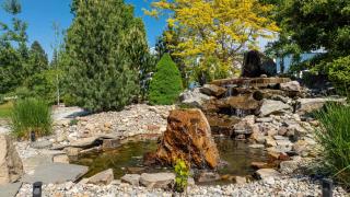 Elk Country Lodge - 6