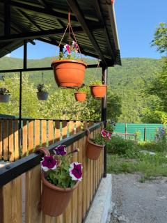 racha cozy cottage - 7