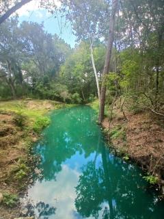 Waterfront Getaway near Houston - Fishing - 6