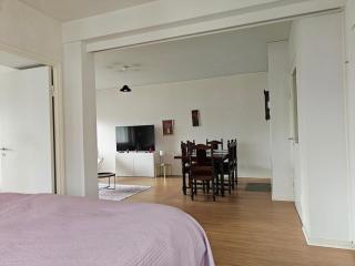 Spacious apartment in the city center - 9