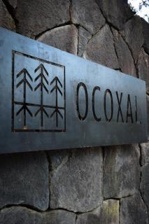 Ocoxal Avandaro - 2