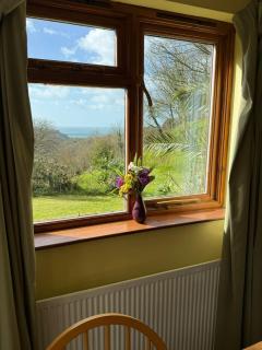 Woodstock Holiday Lodges - 7
