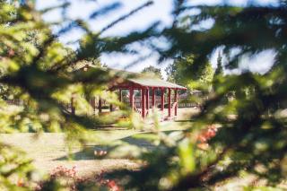 Pas Kaziuką namukas - 1