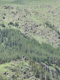 kazbegi - Sno Mountain House - 3