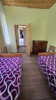 Guesthouse Nugzar Gujejiani - 4