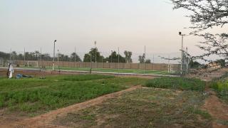 green laxury farm - 3