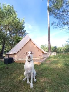 Tipi coloré à la Ferme à la plage - 9
