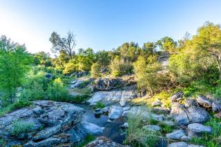 Riverside Retreat - 2
