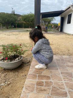 Refugio para 2 - 2
