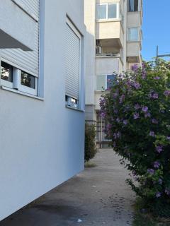 Apartman Perović - 8