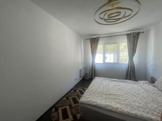 Apartament Baile Herculane - 3