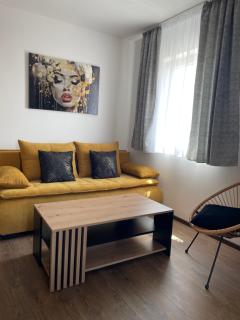 Apartman Silver Star Srebrno Jezero - 8