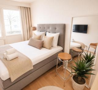 Cozy Studio, Free Parking, Near Center, WIFI, Smart TV - 6