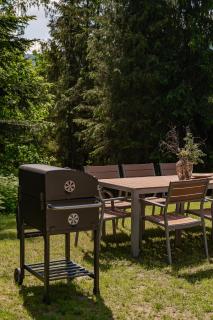 Polana Słowikowa 5 star -domek w górach z całorocznym, podgrzewanym, zadaszonym basenem i z jacuzzi, sauna, basen, plaża, 30 arowy ogród z lasem - 2