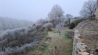 Maison en pierre, jardin, calme en Bourgogne - 4