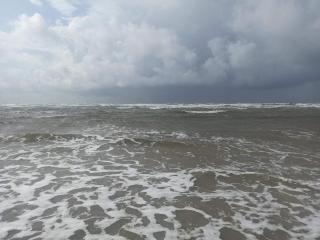 6 person holiday home in Fanø - 3