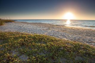 Wyndham Ocean Ridge Four 4BR Apartments - 8