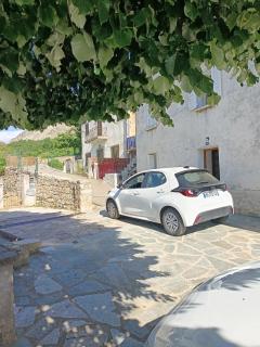Charmante maison avec vue sur la montagne à Albertacce - 8
