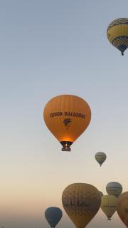 Luxor hot air balloon co - 4