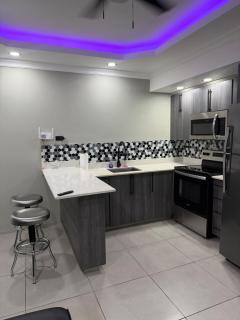 New Kingston Condo - 3