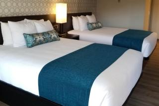 The Hotel Y, a Dazzler Select by Wyndham - 5