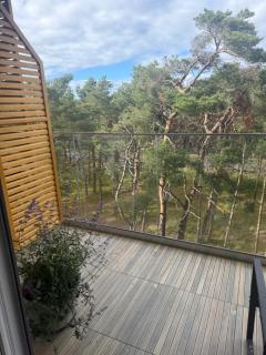 Apartament sosnowy 3,5 - 3