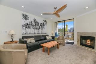 C300 Mid-Century Palm Paradise - 6