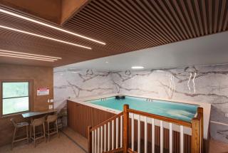 Lux Retreat with Indoor Swim Spa Game Lounge Theater Hot Tub Sauna - 9