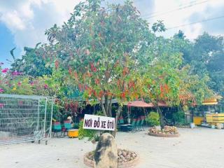Hoa Viên Homestay Rừng Lan - 9