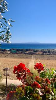 Marikos House, Pyrgaki Alyko Naxos - Plage d'Aliko - 8