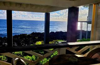 Oceanfront studio see whales and dolphins - 4