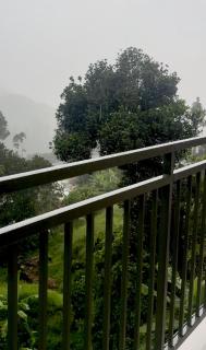 Riverndell resort Munnar - 7