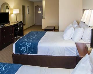 Comfort Suites University Area Notre Dame-South Bend - 2