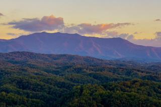 A Bears Poolside View - Sevierville - 4