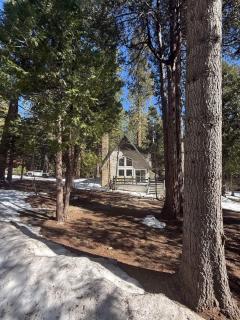 Peaceful Shaver Lake Mountain Retreat with Deck & Forest Views - 7