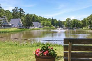 Leilas Chalet - Stevensville - 9