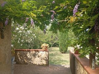Sonnellino - Appartamento di charme in casolare toscano - 2