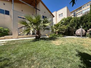 Alpinia - 5