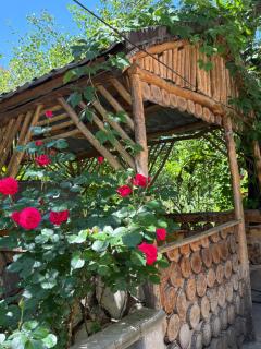 Lucy Guest House - 8